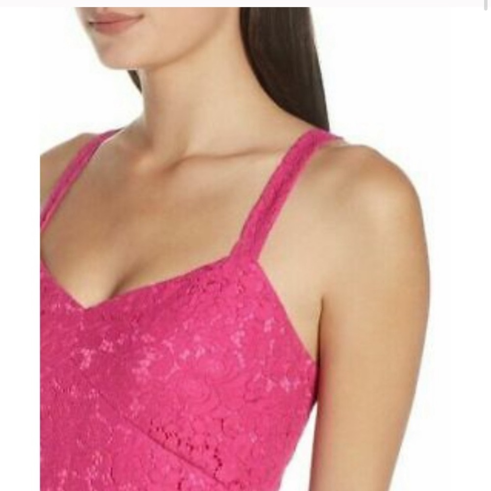 NWT lace fit and flare dress